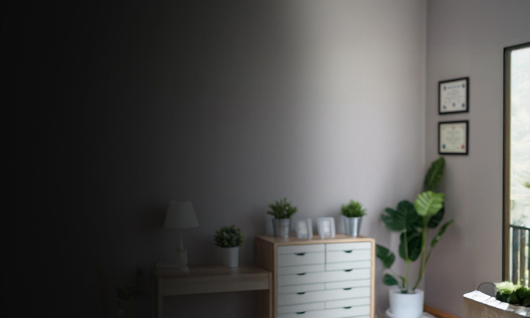Softly lit, home office background with a plant, dresser, and framed certificates on the wall.